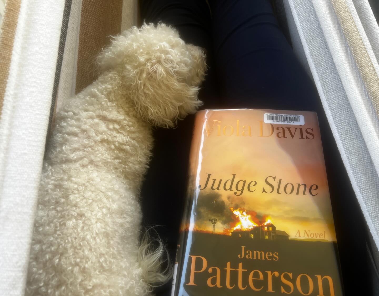 Spring weather + hammock + my furbaby + new book = my favorite kind of weekend ❤️