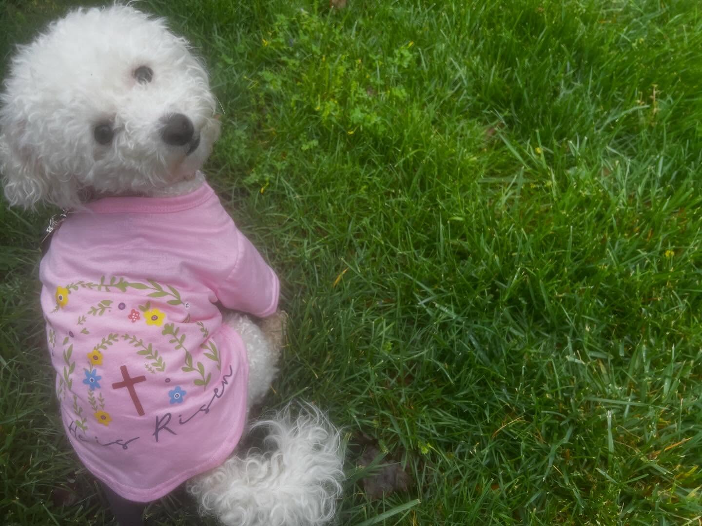 “As for me and my house…” applies to EVERYBODY, because Lord knows the prayers of many righteous folks brought our girl home. 🙏🏾😉

Now that I have your attention, I want to share something a little more personal.

All week, I have felt a little melancholy. A little down. I know for some, the crucifixion of Jesus Christ may feel like a Bible story, but I take it personally.

This week has reminded me of how I feel around the anniversary of my dad’s passing. There is a lingering sadness that comes with it.

And not being able to do my usual family traditions makes it all feel even heavier.

But today, seeing Kaolin playing in her shirt and reading those words over and over again, “He is risen,” reminded me of something: There is still joy.

The story did not end at the crucifixion. And even in my own life, when dreams die, things feel hopeless or like I am missing out, joy is still available.

That is my prayer for all of us today, that even when grief lingers and traditions change or fade, we would still find our way back to the power, the peace, and the joy of a risen Savior. That’s the whole point, after all. ❤️