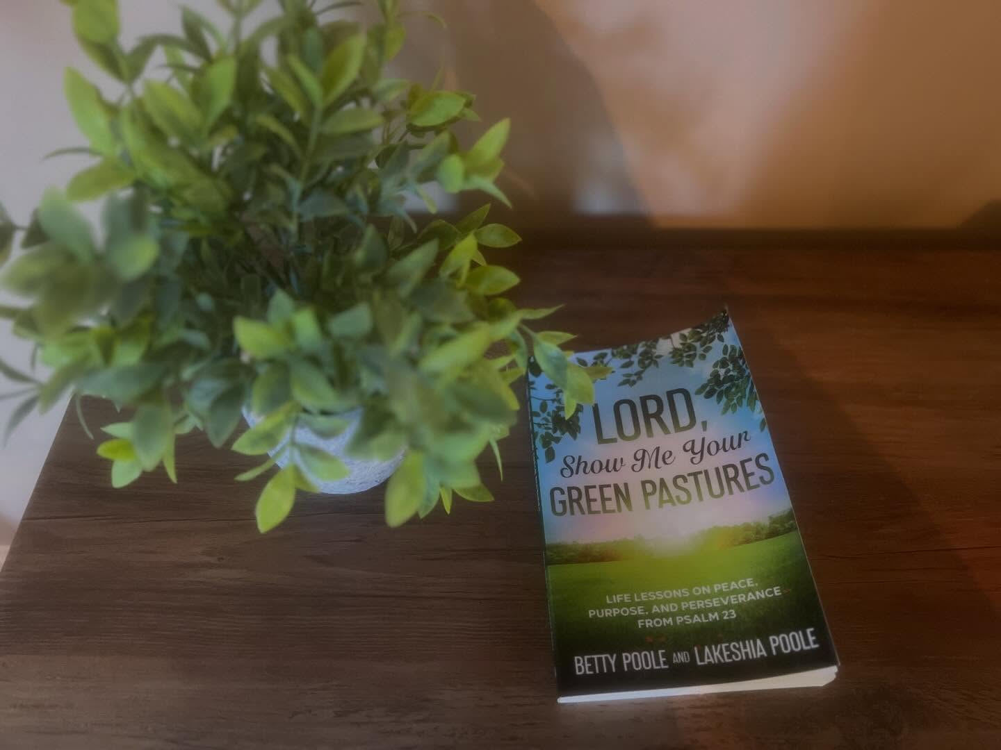 ⭐️⭐️⭐️⭐️⭐️ FIVE STAR READ ⭐️⭐️⭐️⭐️⭐️

“The stories of these two women from different generations showcase how God is always at work in each of us, building a legacy of faith that can equip and encourage those who come after us. While this book is a wonderful solo read, I can also envision it sparking enlightening conversations in a multi-generational Bible study group.” ~Amazon Review

🛑 I only have 5 signed copies left. Get yours before they are gone!!